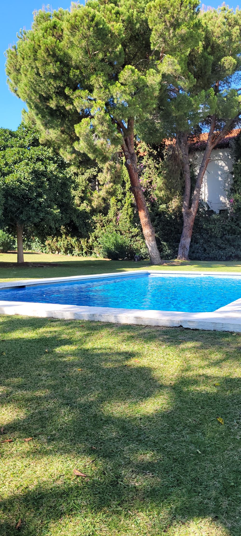  kaufen Reihenhaus Nueva Andalucía Costa Del Sol Occidental 26