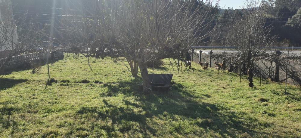  kaufen Haus Campo Do Hospital Ferrol 26