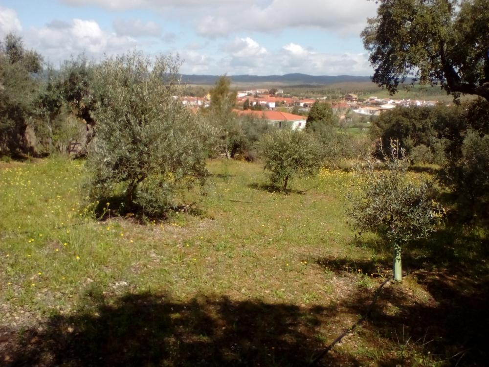 kaufen Haus La Codosera Alburquerque 9