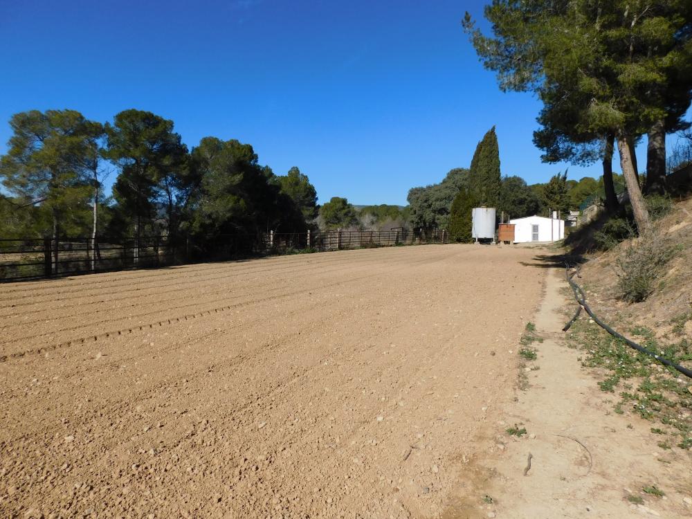  kaufen Villa Guardiola De Font-Rubi Alt Penedès 6
