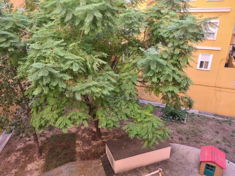  kaufen Wohnung L'eixample Russafa Valencia 11
