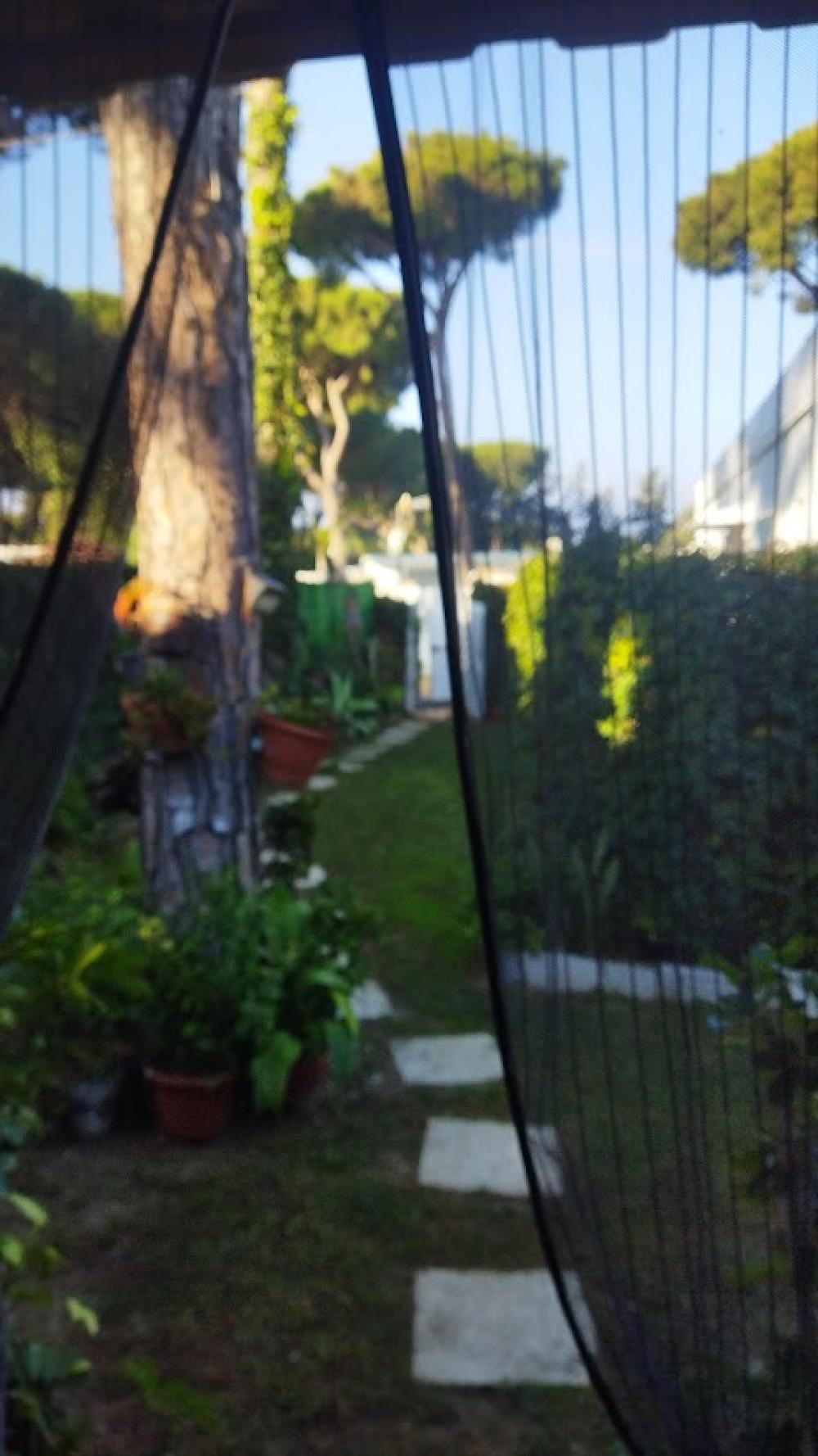  kaufen Landhaus Chiclana De La Frontera Bahía De Cádiz 16