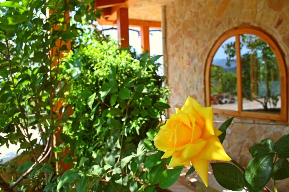  kaufen Haus Horta De Sant Joan Terra Alta 4