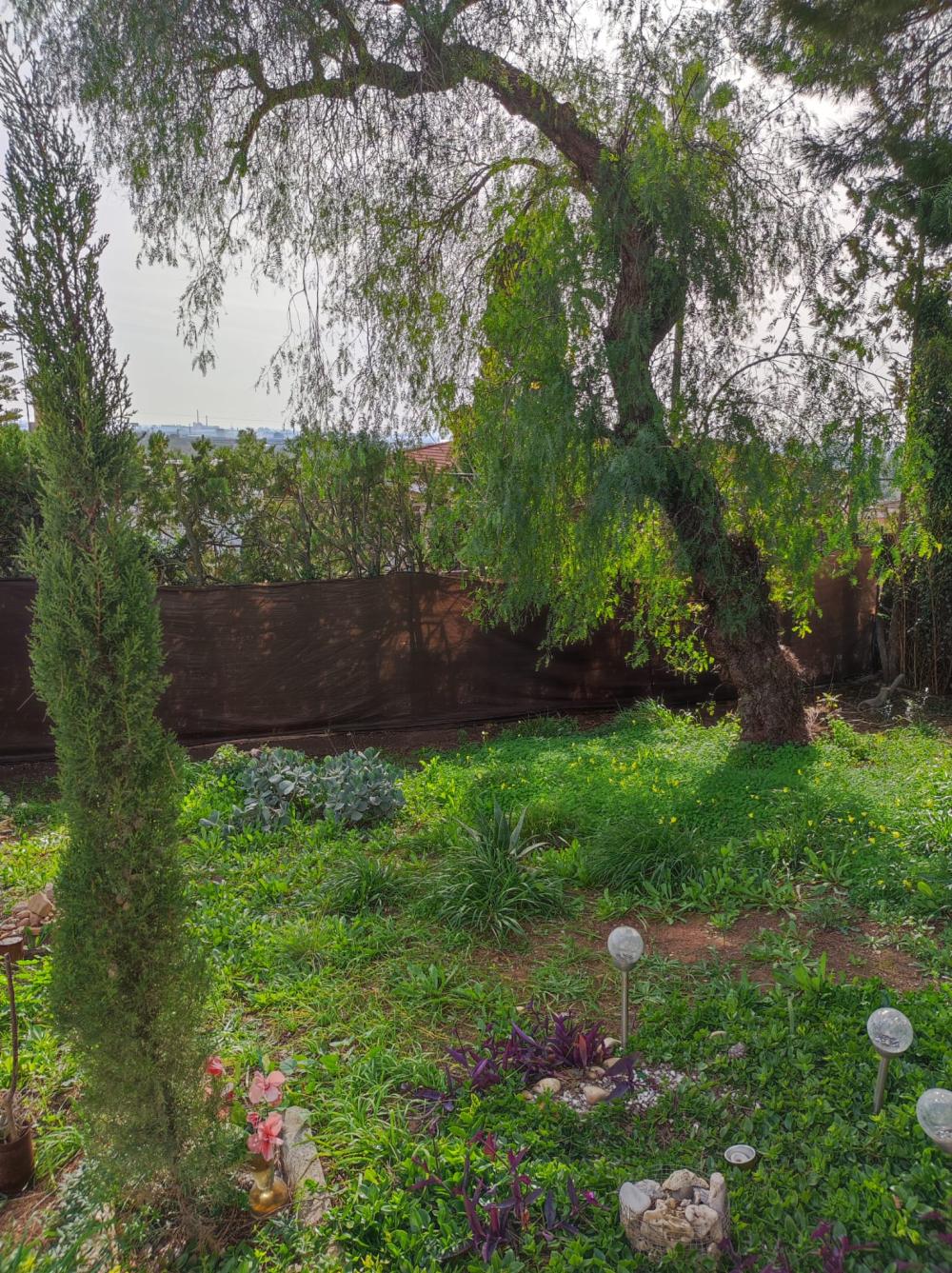  kaufen Villa Alcalá De Guadaira Metropolitana De Sevilla 1