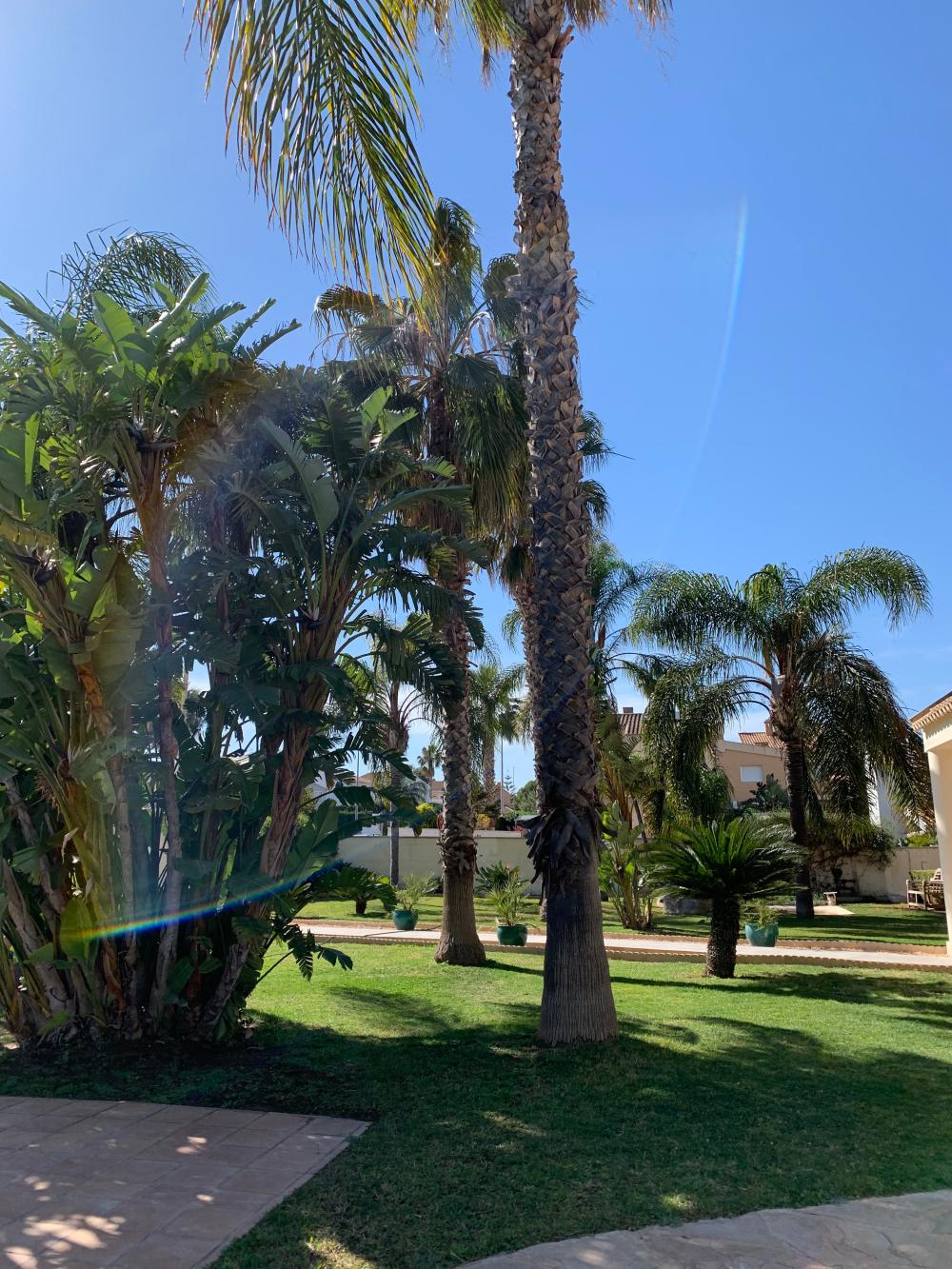  kaufen Villa San Antonio De Benagéber Camp De Túria 101