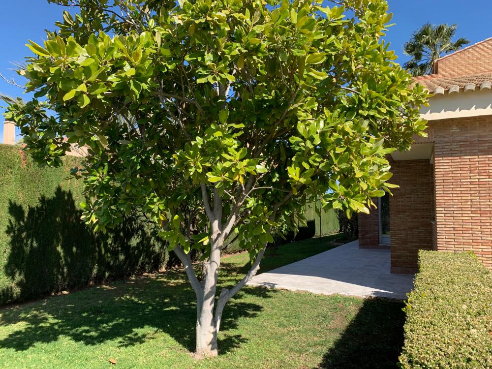  kaufen Villa San Antonio De Benagéber Camp De Túria 91