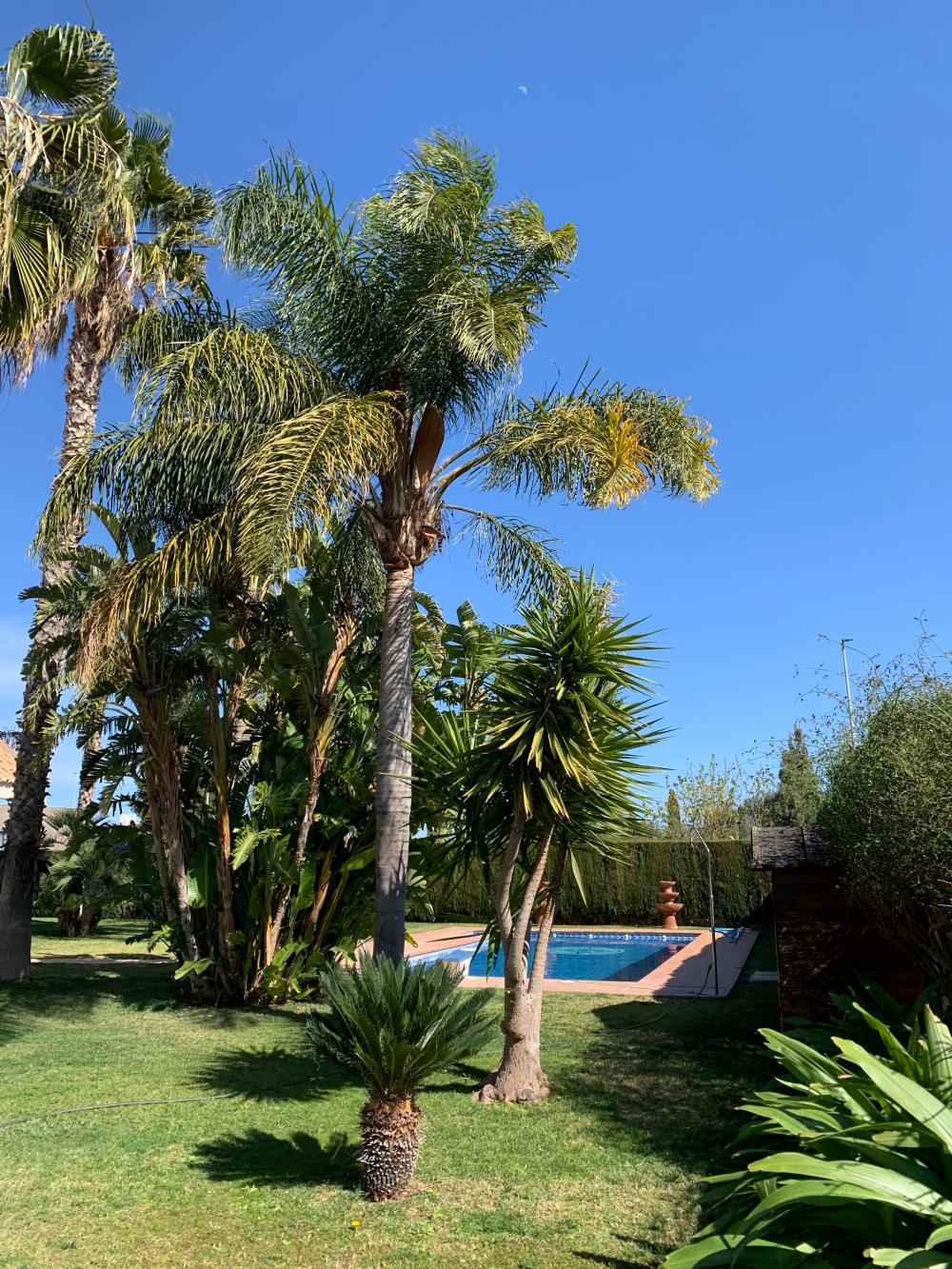  kaufen Villa San Antonio De Benagéber Camp De Túria 3