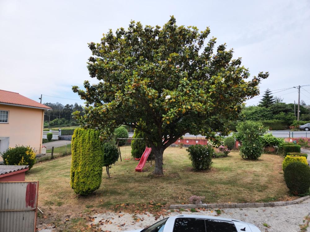  kaufen Haus Cedeira Ferrol 6