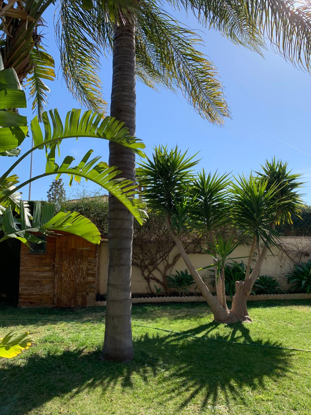  kaufen Villa San Antonio De Benagéber Camp De Túria 127