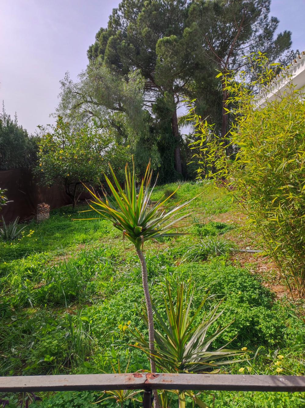  kaufen Villa Alcalá De Guadaira Metropolitana De Sevilla 4