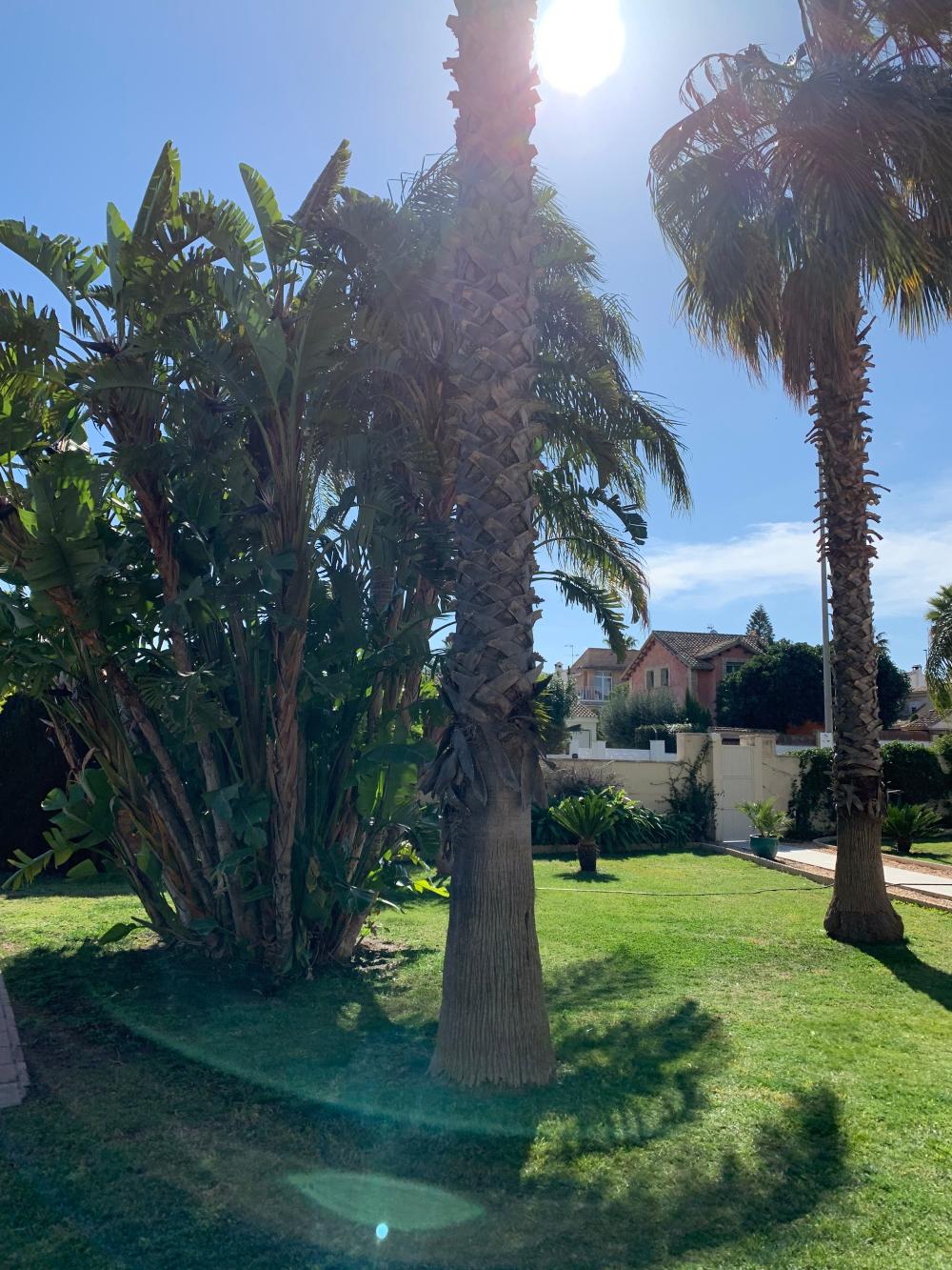  kaufen Villa San Antonio De Benagéber Camp De Túria 125