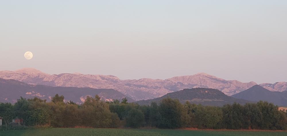  kaufen Landhaus Arcos De La Frontera Sierra De Cádiz 41