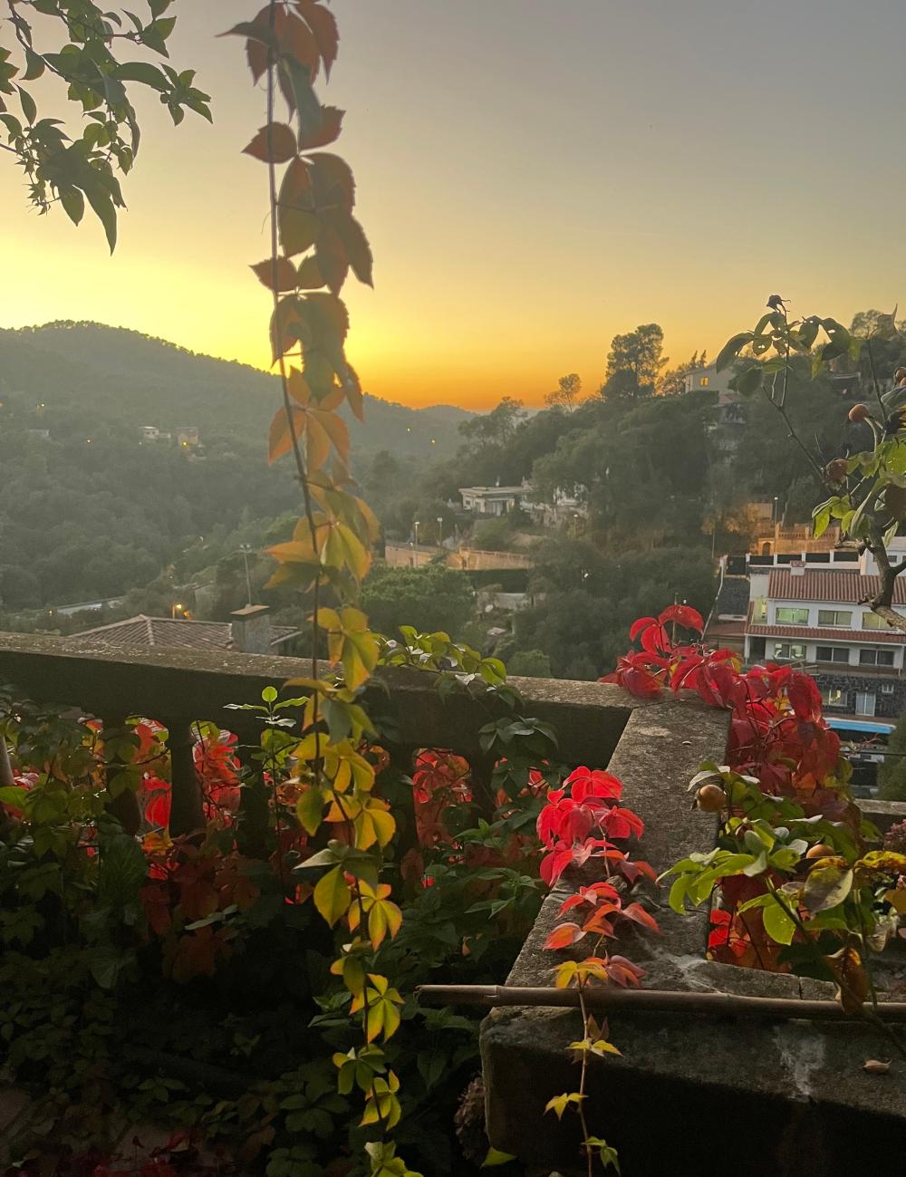  kaufen Haus Sarrià-Sant Gervasi-Vallvidrera-Tibidabo-Les Planes Barcelonès 30
