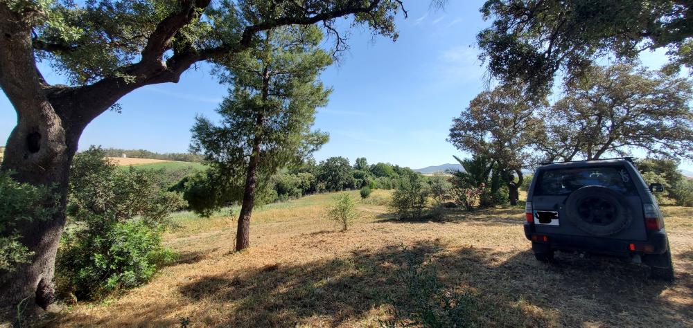 kaufen Landhaus Arcos De La Frontera Sierra De Cádiz 39