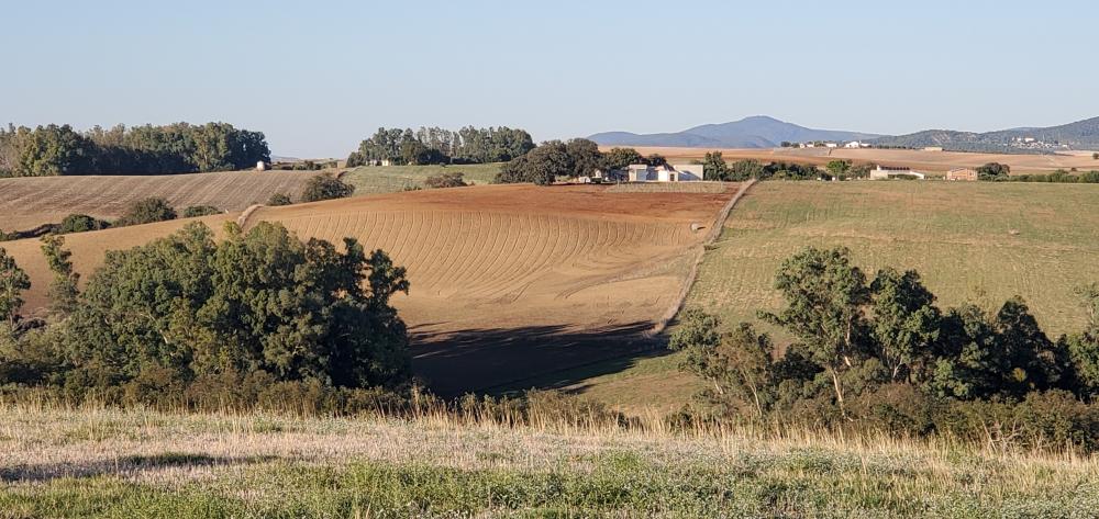  kaufen Landhaus Arcos De La Frontera Sierra De Cádiz 32