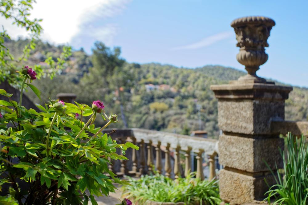  kaufen Haus Sarrià-Sant Gervasi-Vallvidrera-Tibidabo-Les Planes Barcelonès 23
