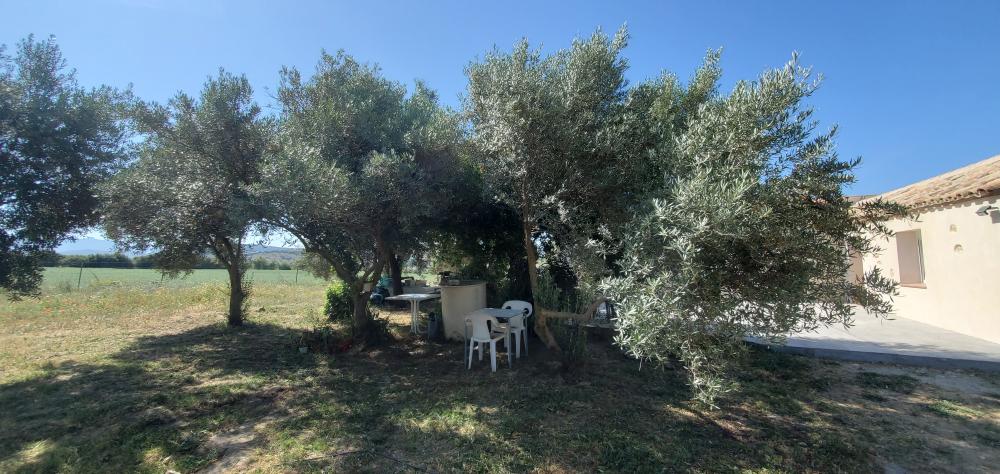  kaufen Landhaus Arcos De La Frontera Sierra De Cádiz 13