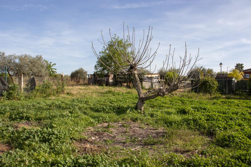 kaufen Villa Alcalá De Guadaira Metropolitana De Sevilla 28
