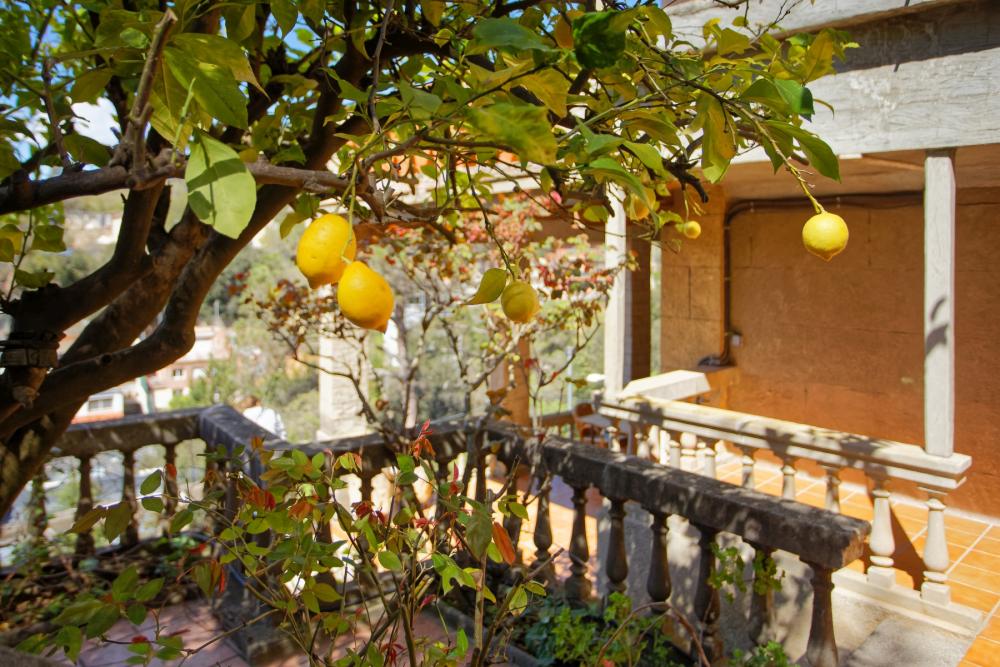  kaufen Haus Sarrià-Sant Gervasi-Vallvidrera-Tibidabo-Les Planes Barcelonès 28