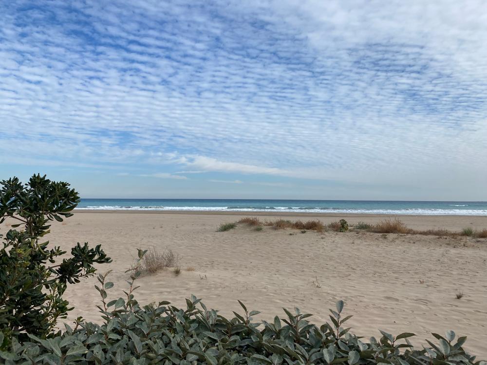  kaufen Penthouse El Puerto De Sagunto Camp De Morvedre 44