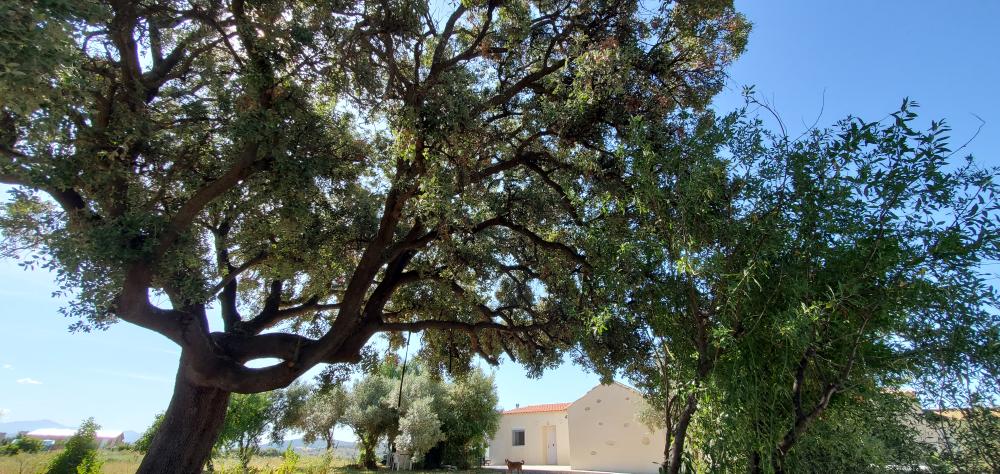  kaufen Landhaus Arcos De La Frontera Sierra De Cádiz 43