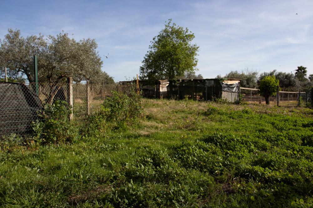  kaufen Villa Alcalá De Guadaira Metropolitana De Sevilla 26
