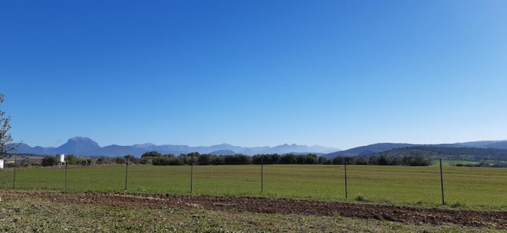  kaufen Landhaus Arcos De La Frontera Sierra De Cádiz 35