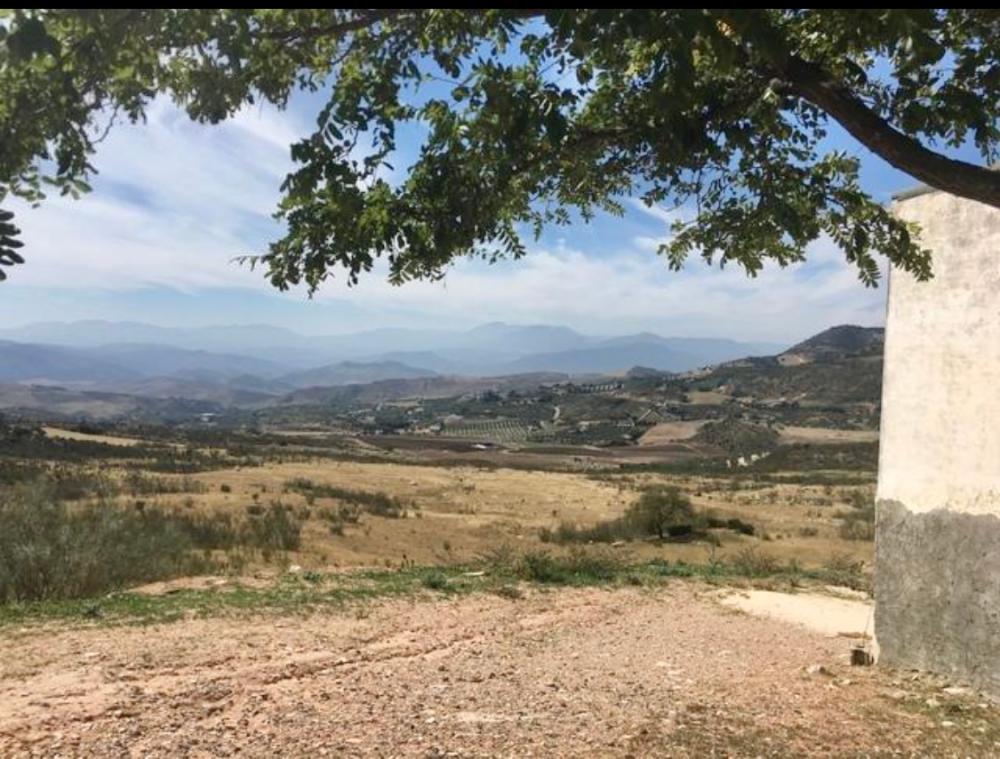 kaufen Landhaus Villanueva De La Concepción Antequera 5