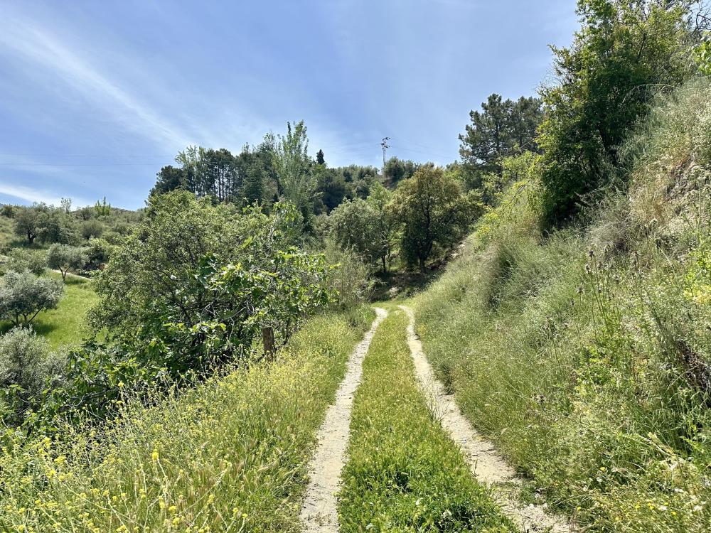  kaufen Landhaus Monachil Vega De Granada 27