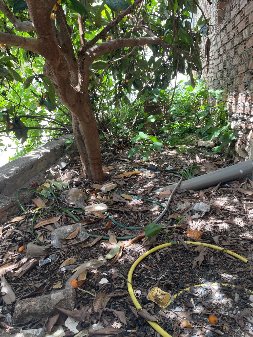  kaufen Haus Ítrabo Costa Tropical 34