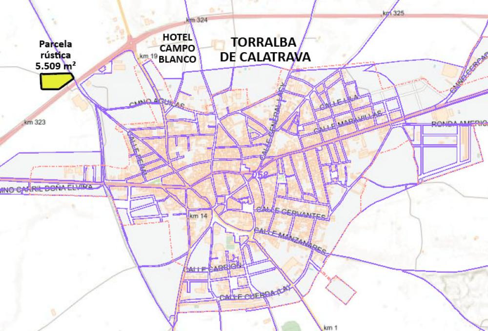  kaufen Grundstück Torralba De Calatrava Campo De Calatrava 3