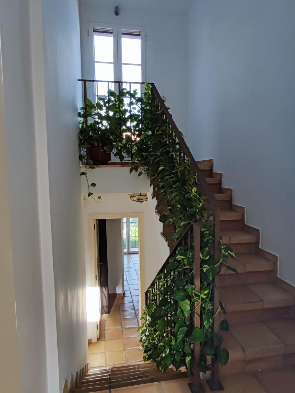  kaufen Reihenhaus Finestrat Marina Baixa 12