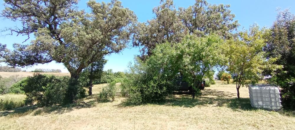  kaufen Landhaus Arcos De La Frontera Sierra De Cádiz 50
