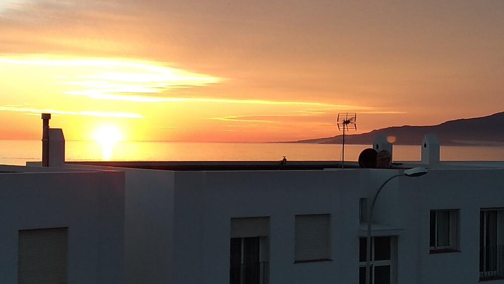  kaufen Reihenhaus Tarifa Campo De Gibraltar 15