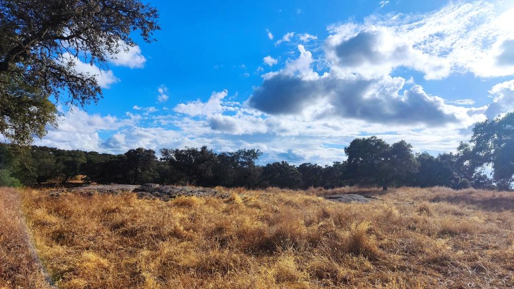  kaufen Landhaus Santa Olalla Del Cala Sierra De Huelva 12