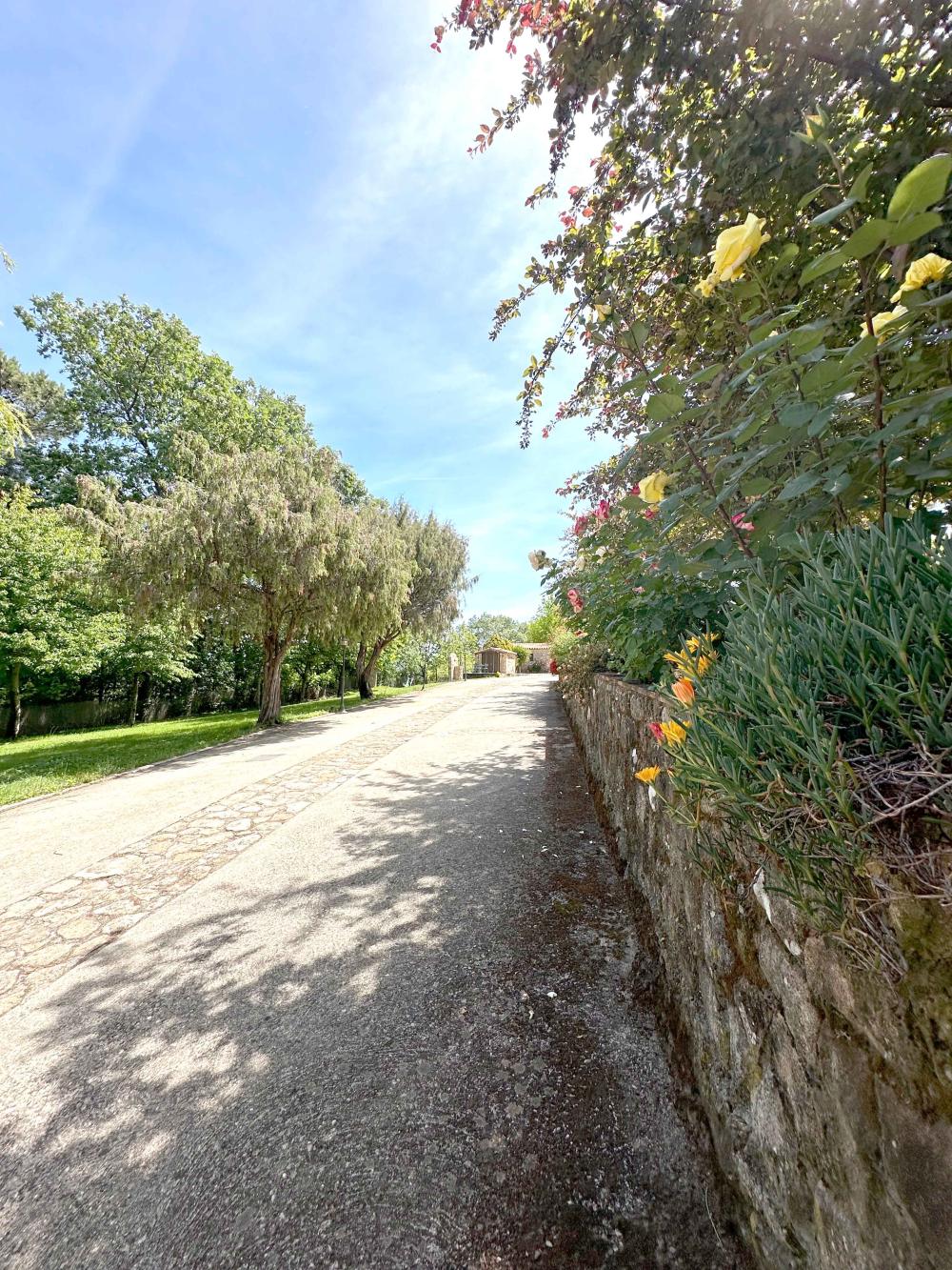  kaufen Landhaus Villanueva De La Vera La Vera 8