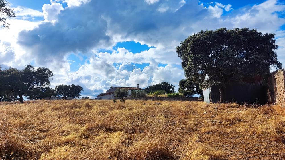  kaufen Landhaus Santa Olalla Del Cala Sierra De Huelva 5