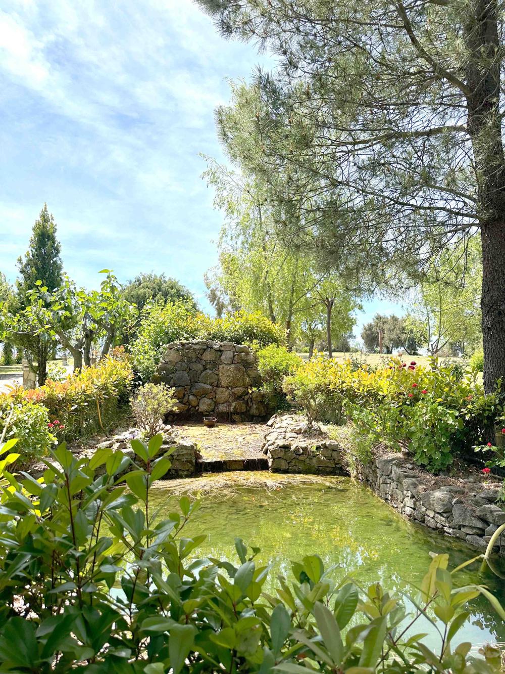  kaufen Landhaus Villanueva De La Vera La Vera 20