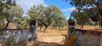 Santa Olalla Del Cala Sierra De Huelva Landhaus Bild 5944163