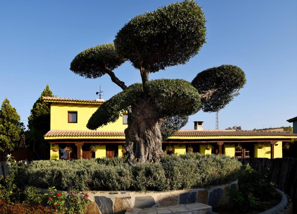  kaufen Landhaus Coín Valle Del Guadalhorce 14