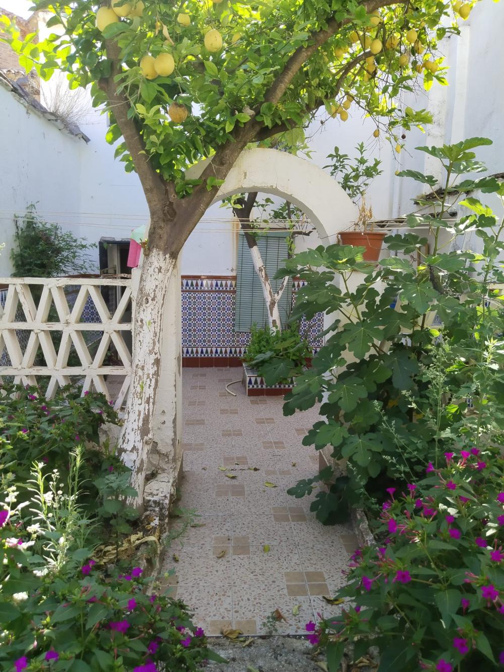  kaufen Haus Guadalcanal Sierra Norte 51