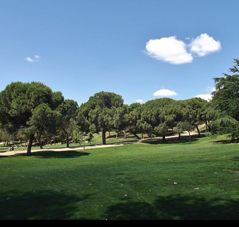  kaufen Penthouse Carabanchel-San Isidro Madrid Capital 20