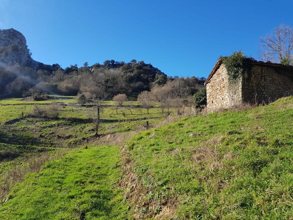  kaufen Landhaus Proaza Oviedo 3