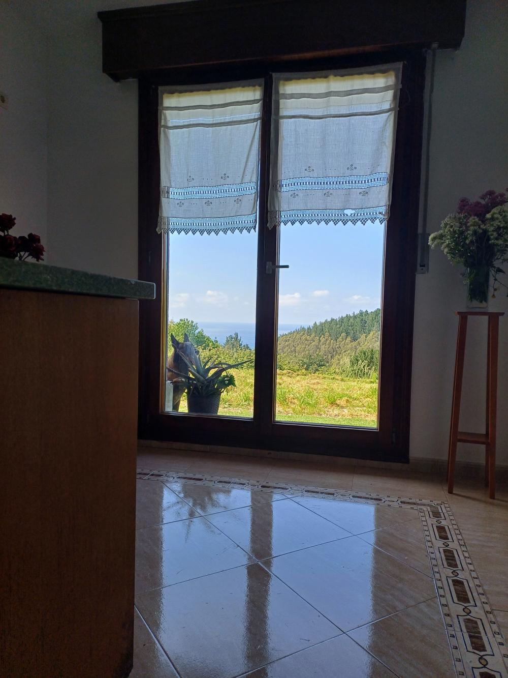  kaufen Villa Asterrika Lea-Artibai 12
