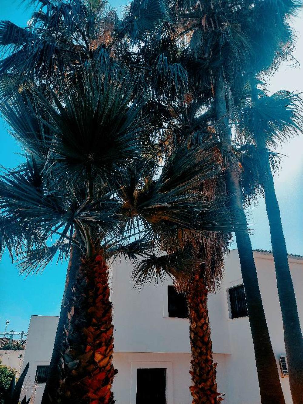  kaufen Villa Estepona Costa Del Sol Occidental 2