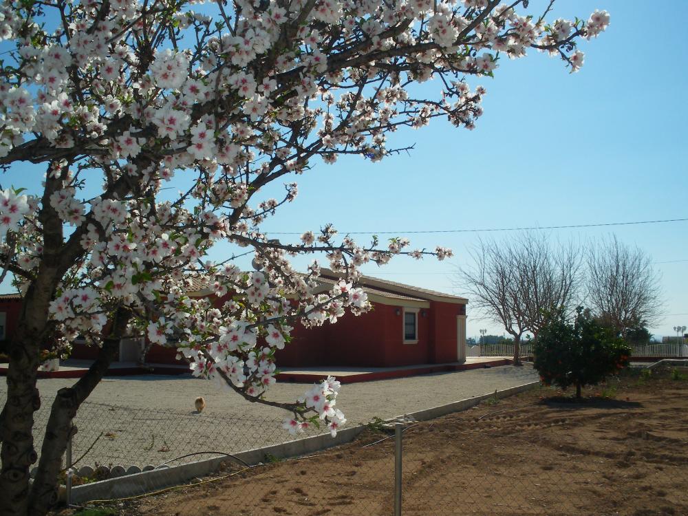  kaufen Villa Pla De Sant Josep Baix Vinalopó 15