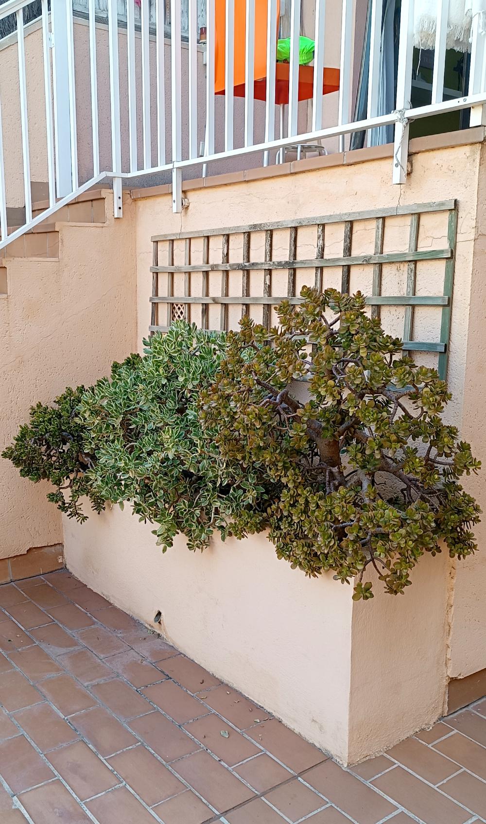  kaufen Maisonette La Bonanova Palma 18