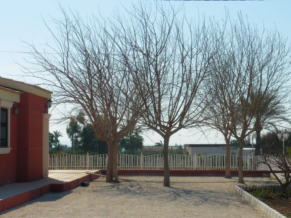  kaufen Villa Pla De Sant Josep Baix Vinalopó 12