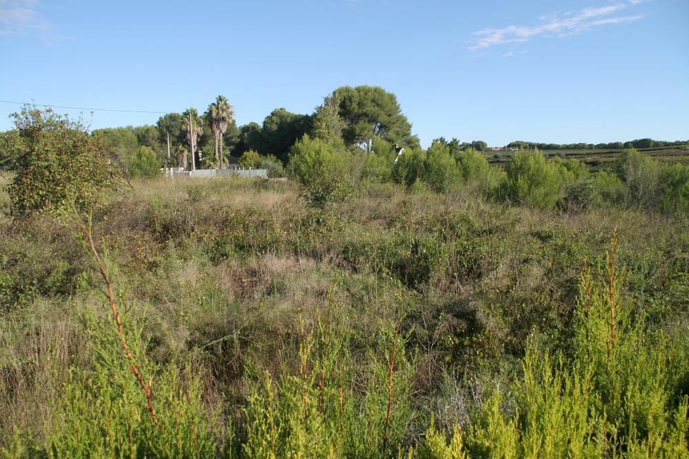  kaufen Villa Godelleta Hoya De Buñol 9