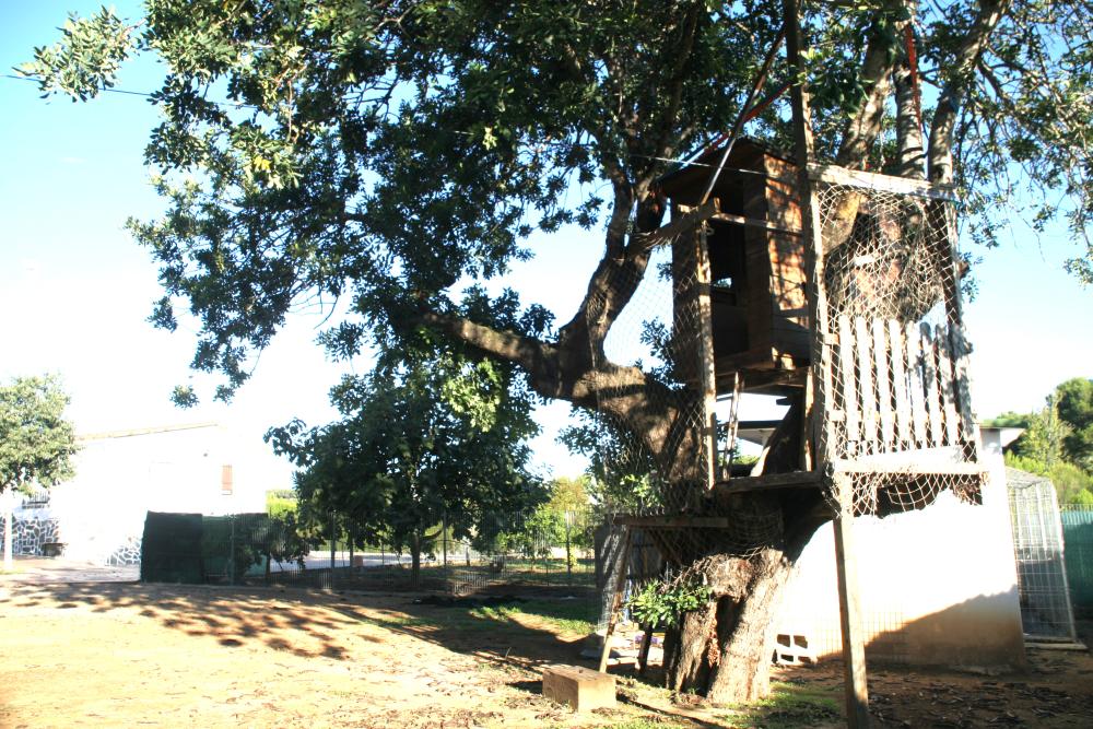  kaufen Villa Godelleta Hoya De Buñol 6